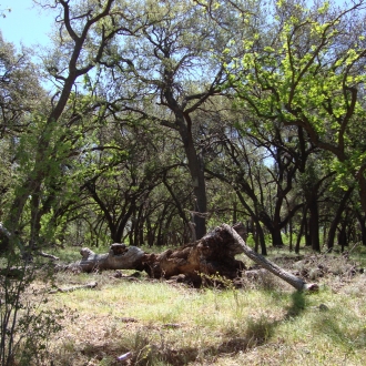 TweedyRanch (9)